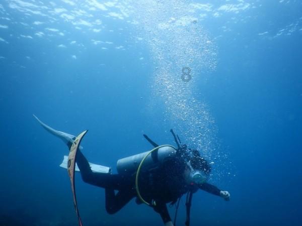 魏总 郑恺：充满喜剧色彩的显眼包式人物，海宁文化旅游推广大使